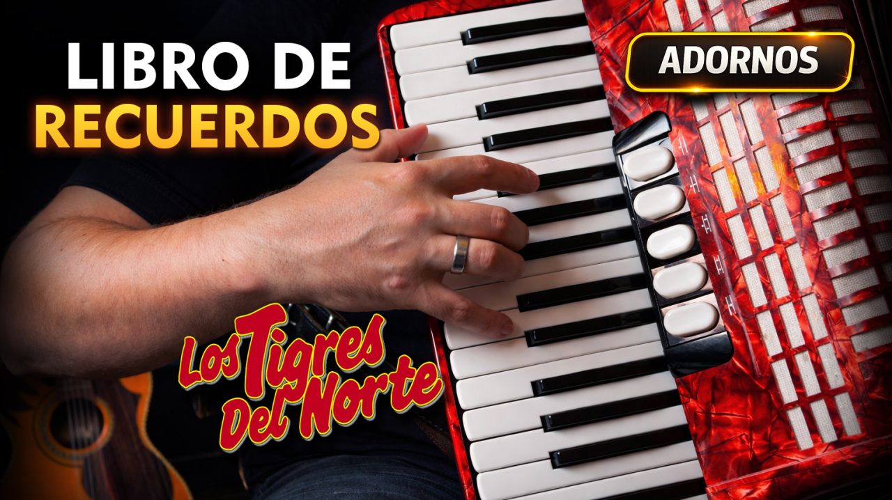 Libro de Recuerdos - Adornos Básicos